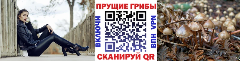 Галлюциногенные грибы Psilocybine cubensis  МЕГА сайт  Макаров  даркнет сайт 